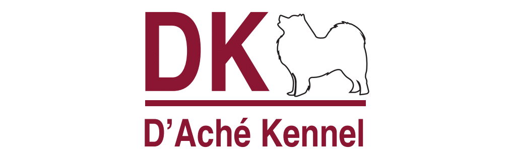 Canil de Samoieda no Rio de Janeiro 