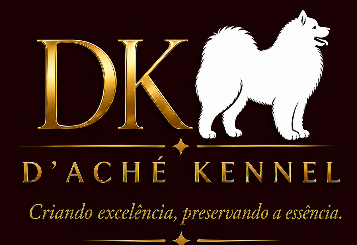 Canil D’Aché Kennel – DacheSammys | Melhor Canil de Samoieda